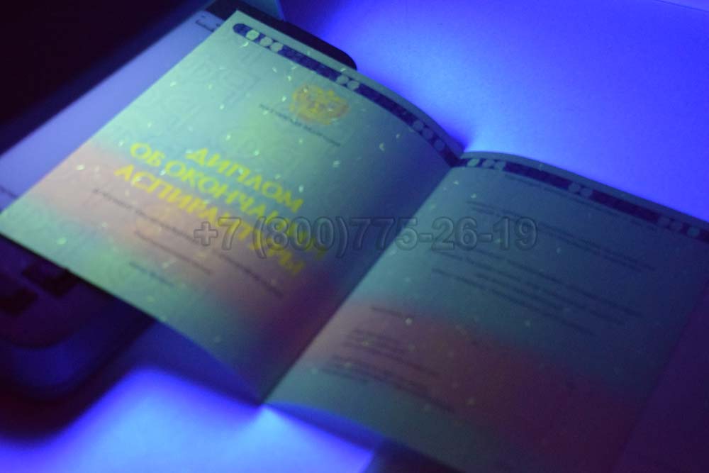 Бланк диплома аспирантуры Гознак 2014-2025 год выпуска г.Владивосток