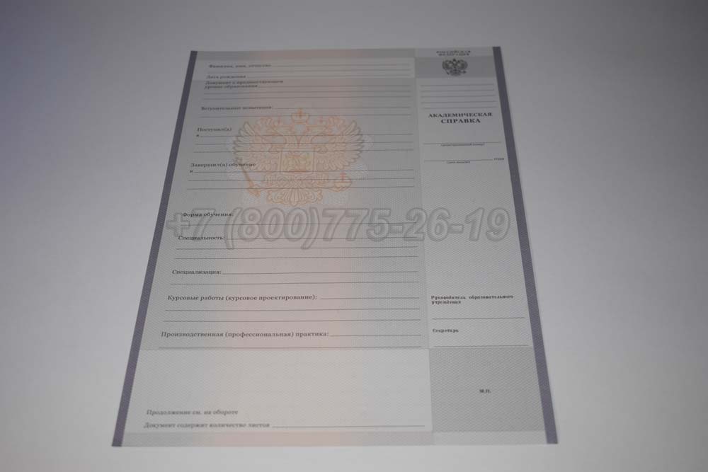 Академическая справка техникума Гознак 2008-2025 год выпуска г.Владивосток