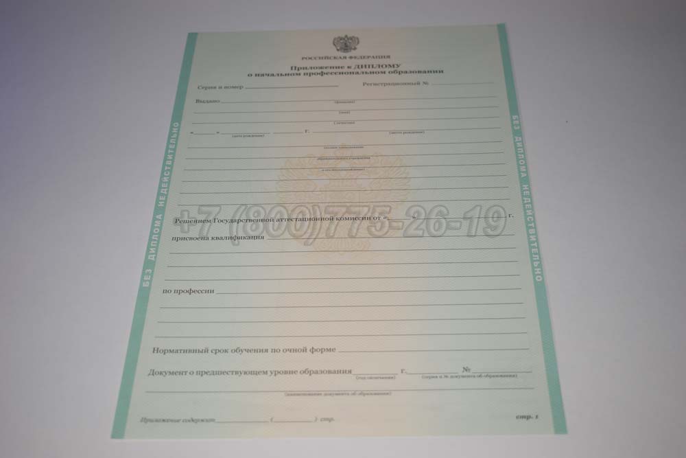 Приложение к диплому ПТУ Гознак 2011-2025 год выпуска г.Владивосток
