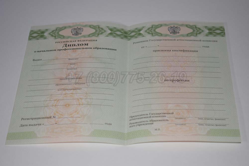 Бланк диплома ПТУ Гознак 2011-2025 год выпуска г.Владивосток