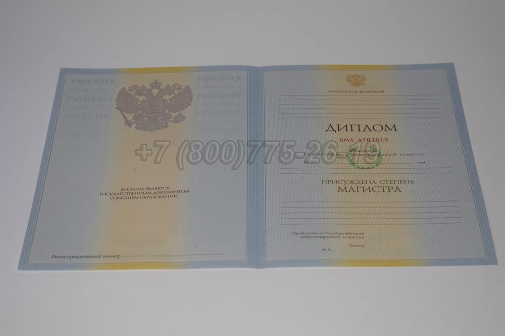 Бланк диплома магистра Гознак 2009-2010 год выпуска г.Владивосток