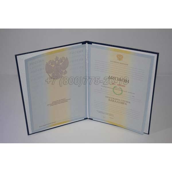 Диплом бакалавра 2009-2010 г.в. Владивосток