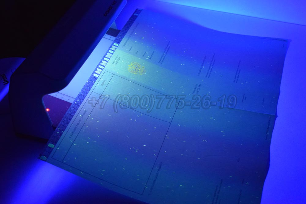 Приложение к диплому магистра Гознак 2014-2025 год выпуска г.Владивосток
