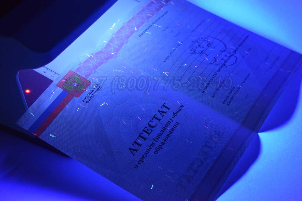 Бланк аттестата за 11 класс Гознак 2010-2013 год выпуска г.Владивосток