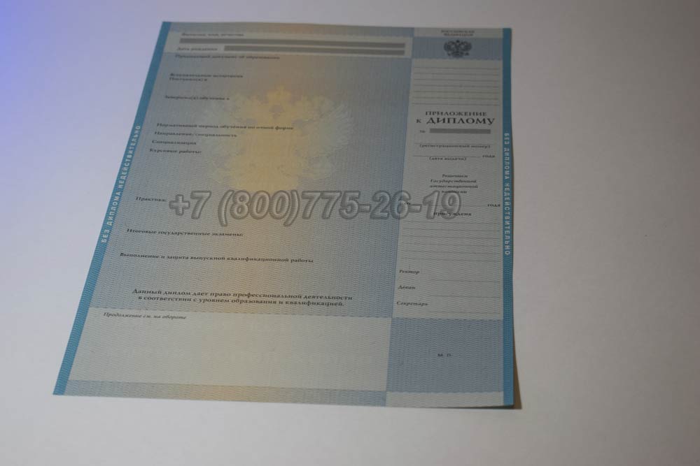 Приложение к диплому о высшем образовании 2009-2010 год выпуска г.Владивосток