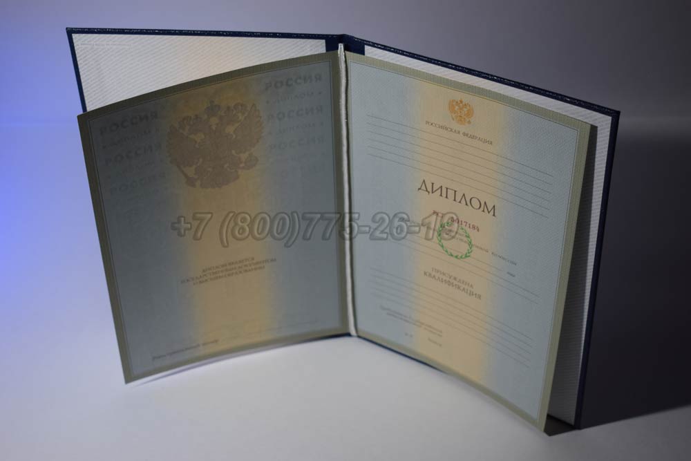 Диплом института Гознак 2003-2008 год выпуска г.Владивосток